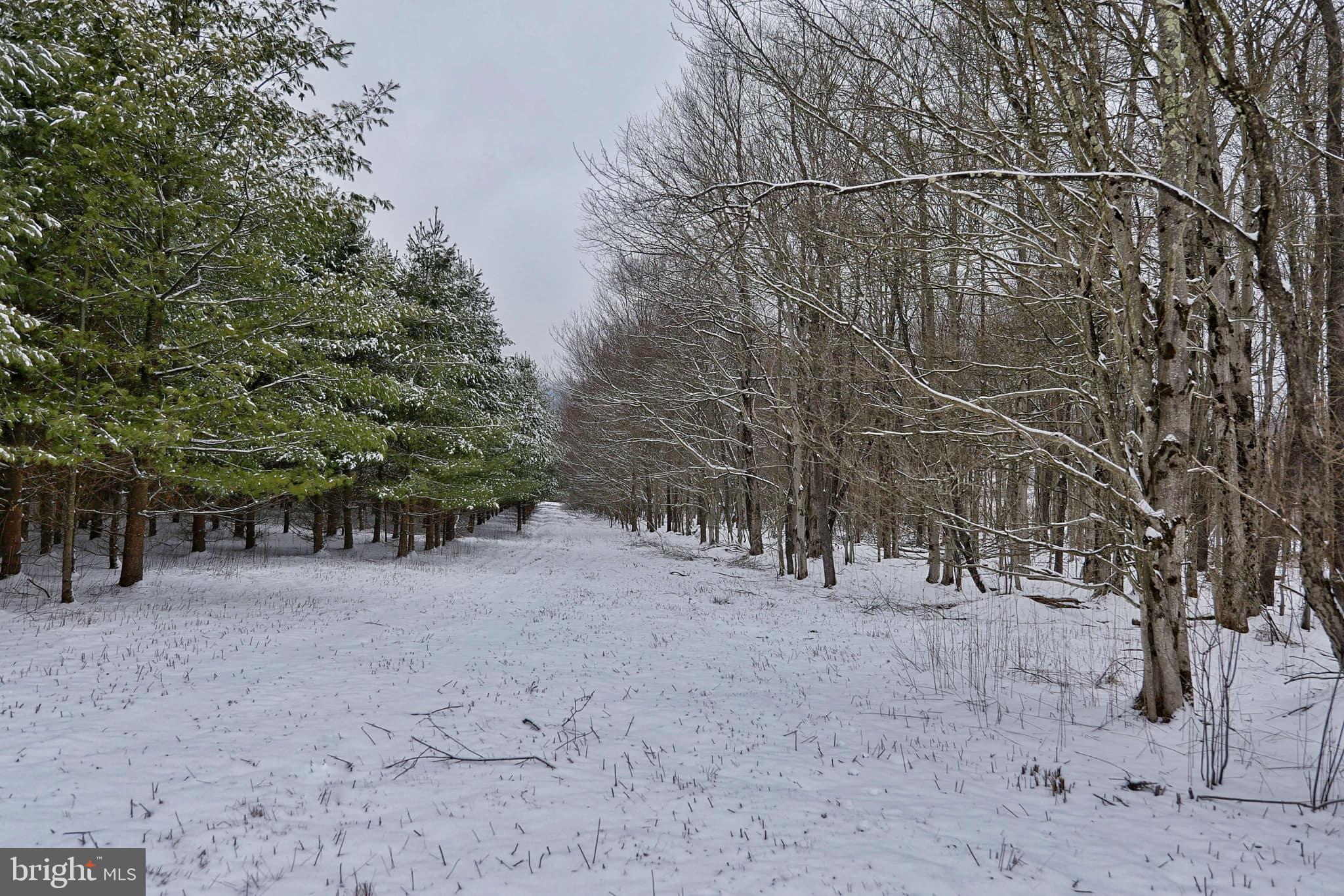 TERRA ALTA - Residential