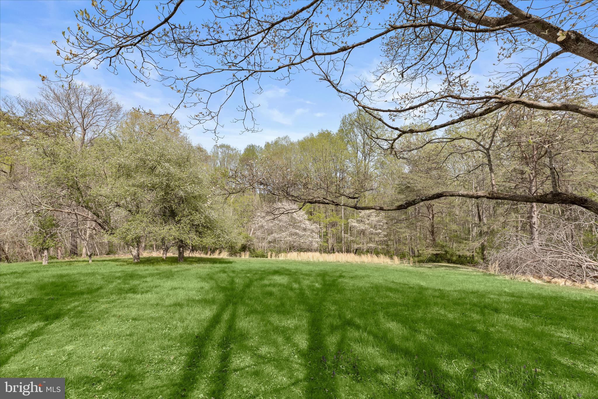 PARKSIDE - Residential