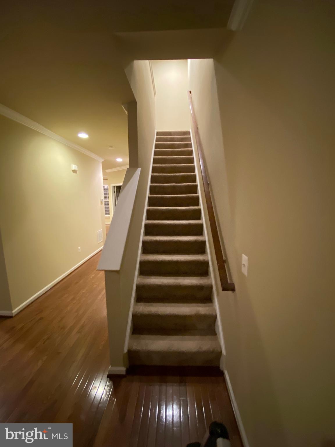 SNOWDEN BRIDGE - Residential Lease