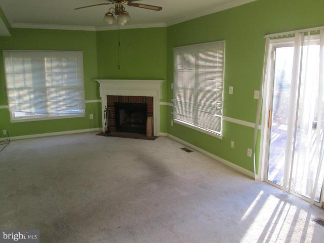 ASHBURN VILLAGE - Residential