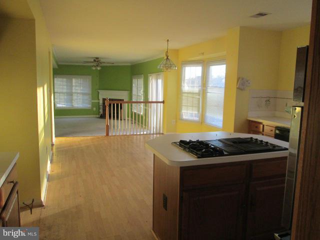 ASHBURN VILLAGE - Residential