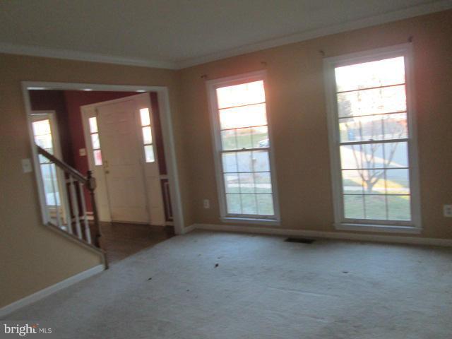 ASHBURN VILLAGE - Residential