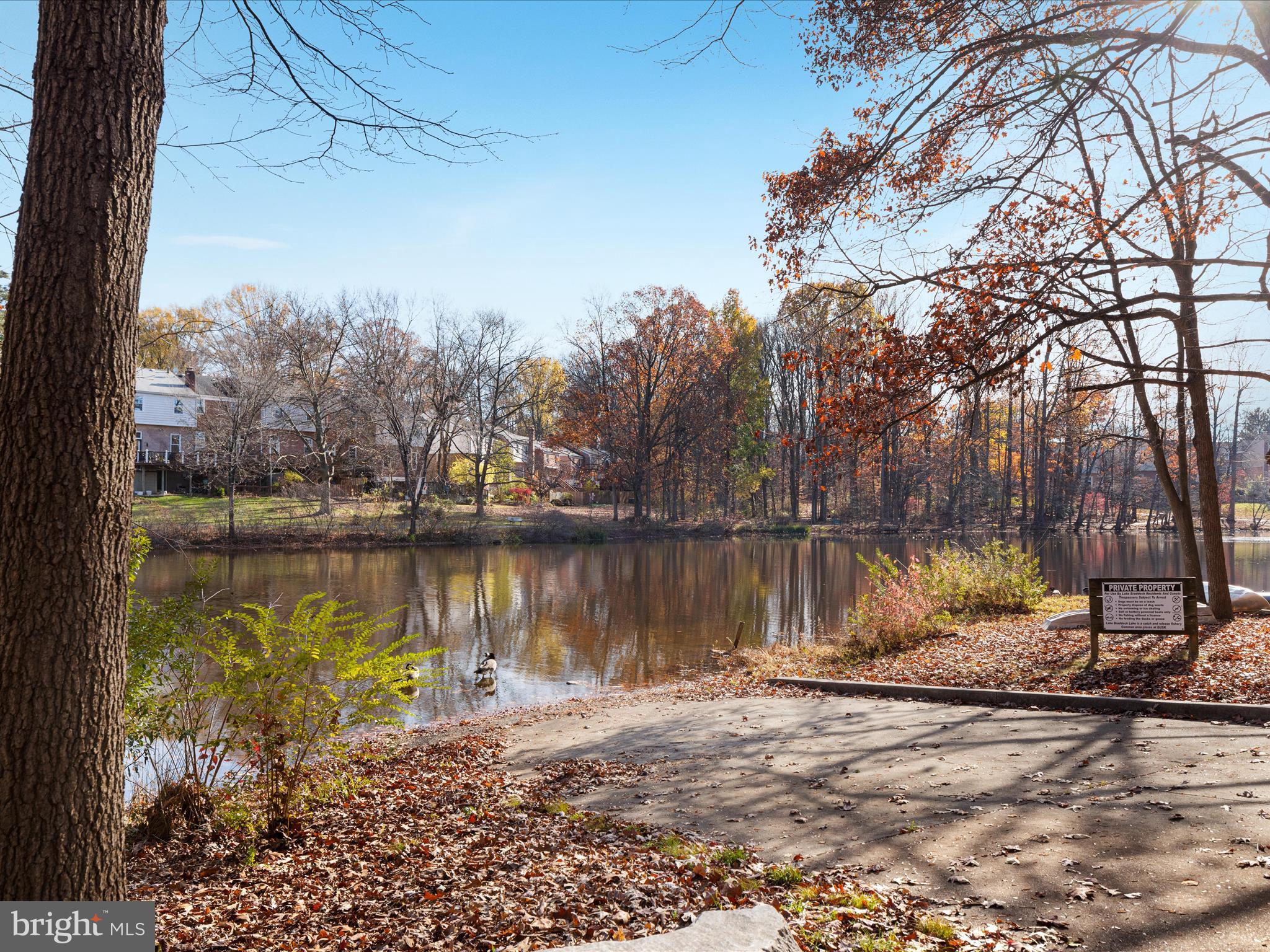 LAKE BRADDOCK - Residential