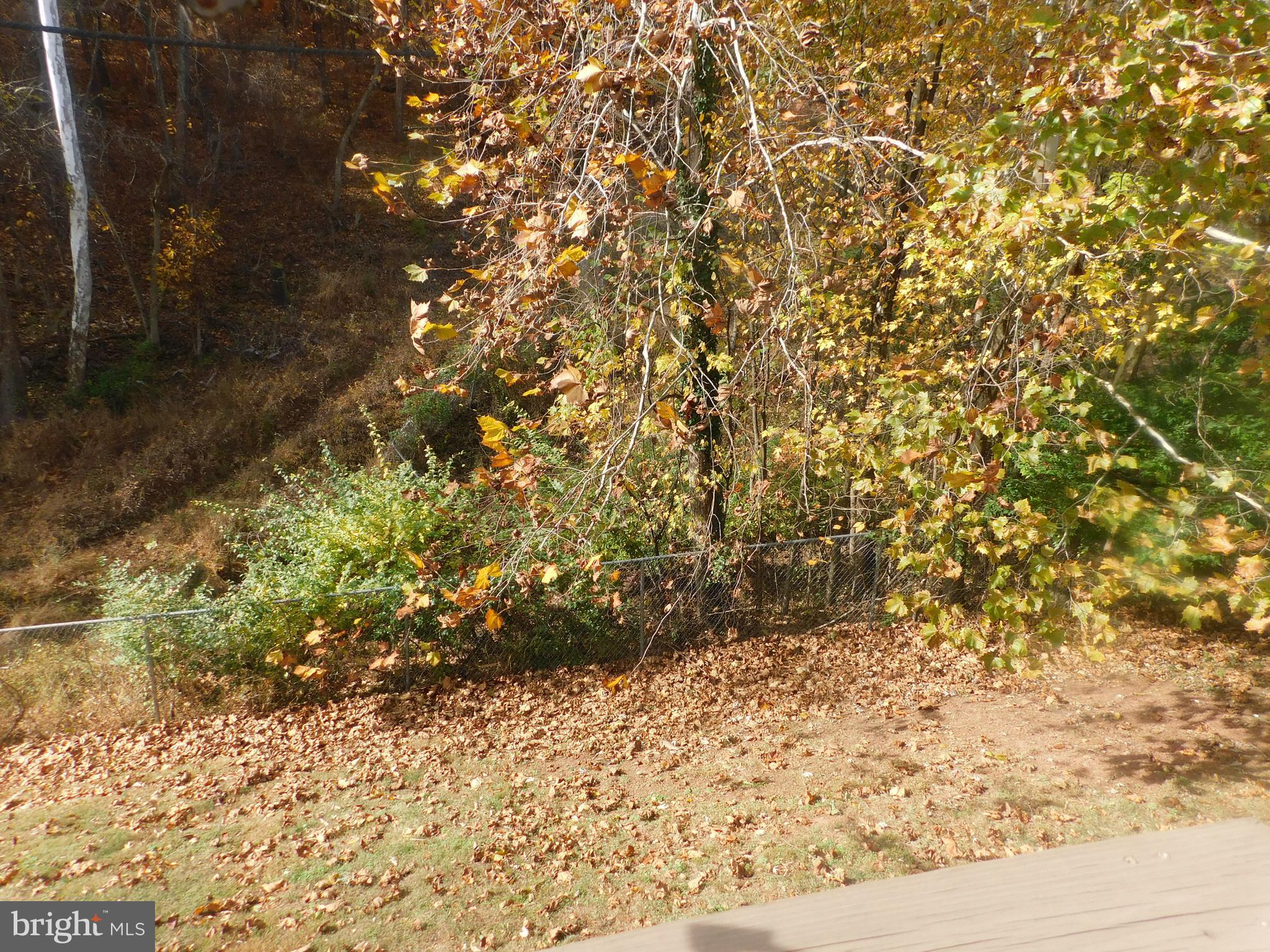 MOSBY RIDGE CONDO - Residential Lease