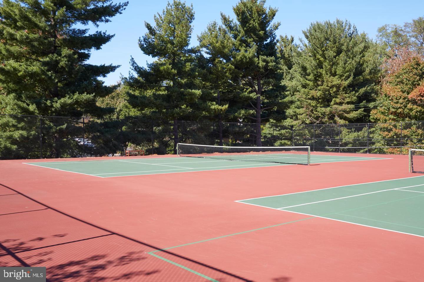 CHELSEA TOWERS - Residential Lease