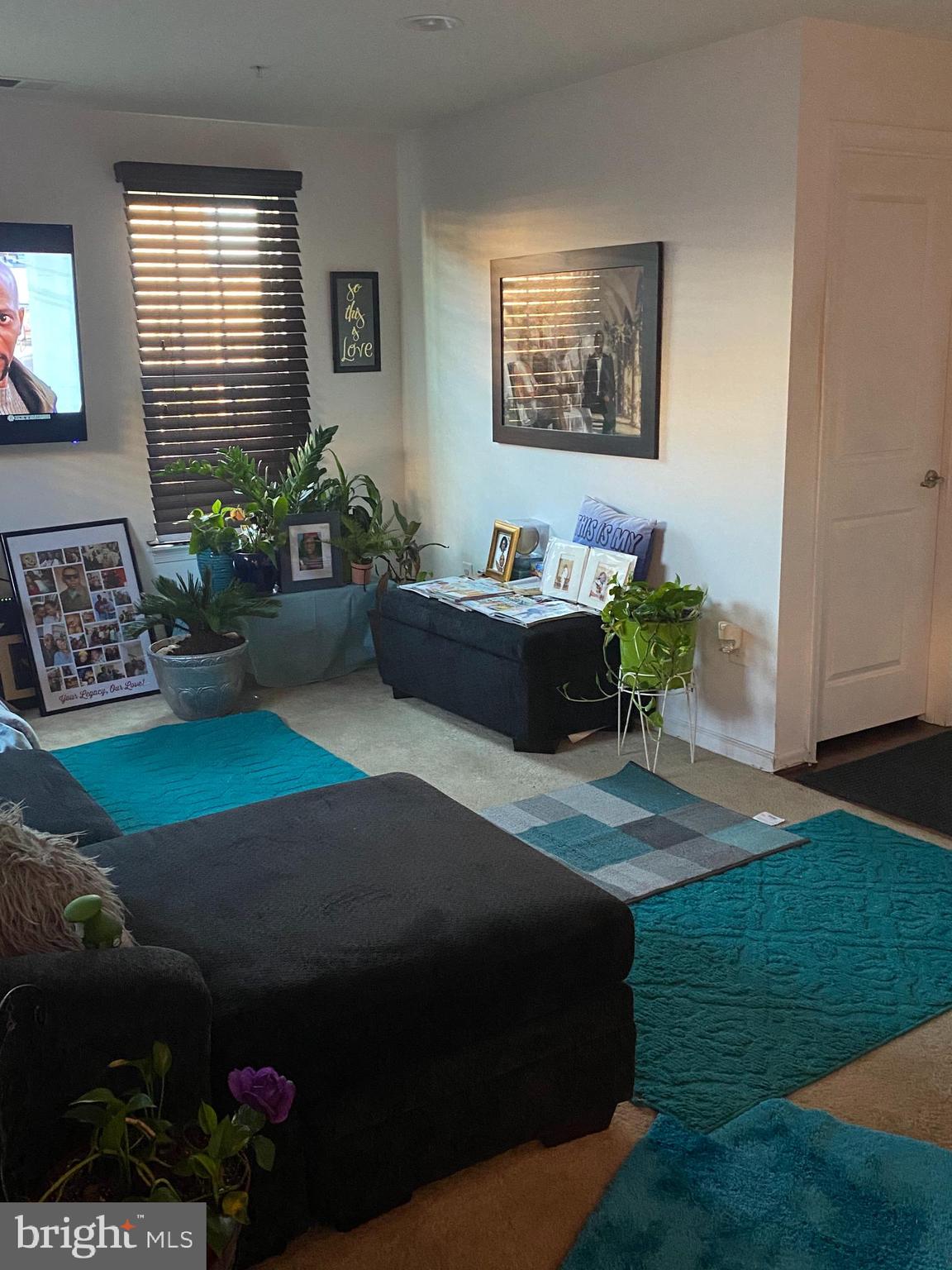 BALLARD GREEN - Residential