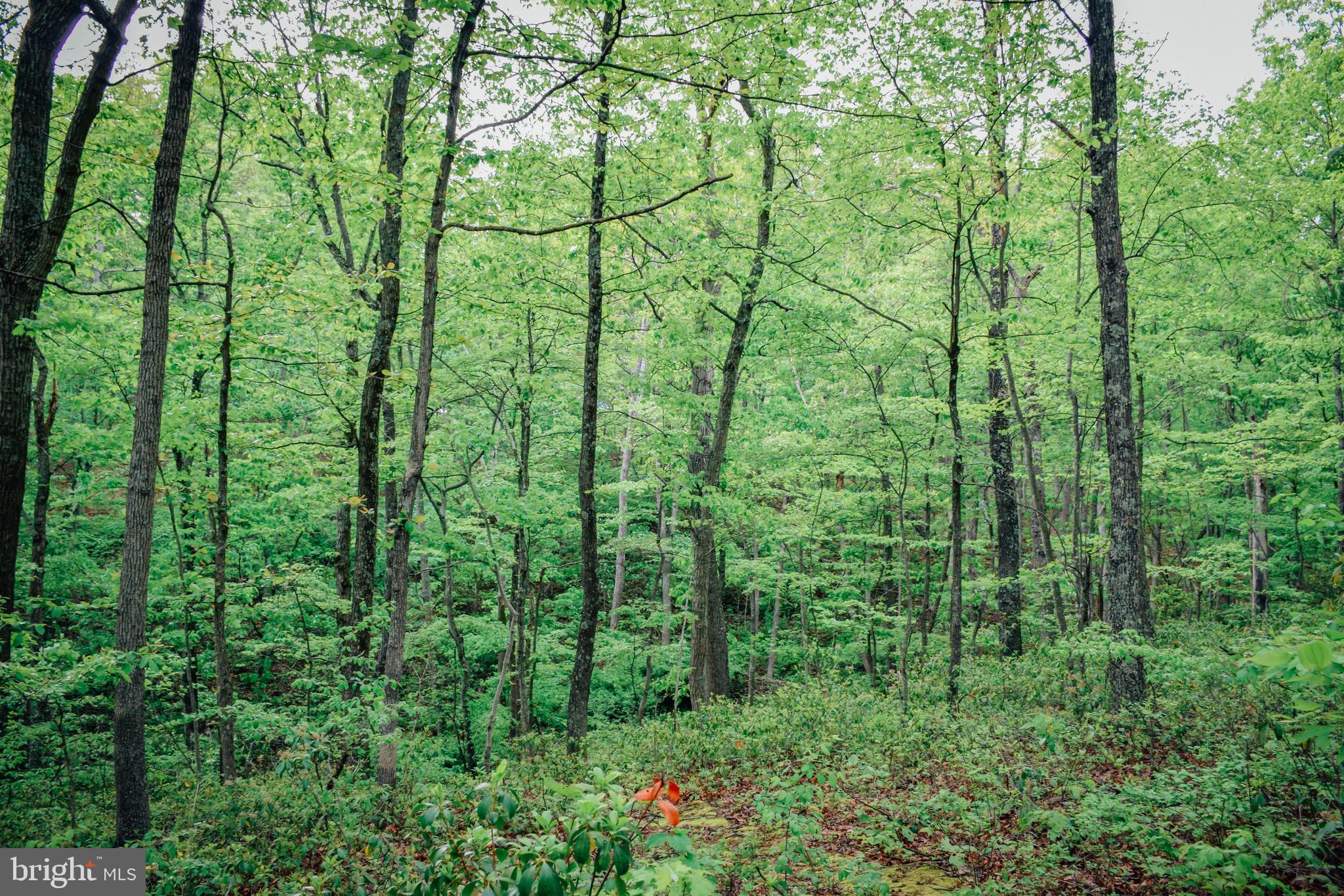 FOUNTAIN VIEW - Residential