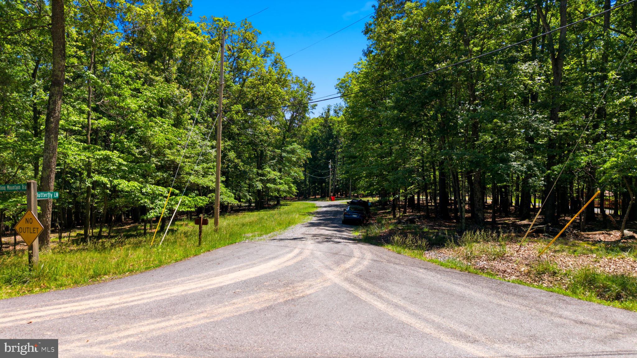 SIDELING MOUNTAIN TRAIL- LOT 64 AND 65