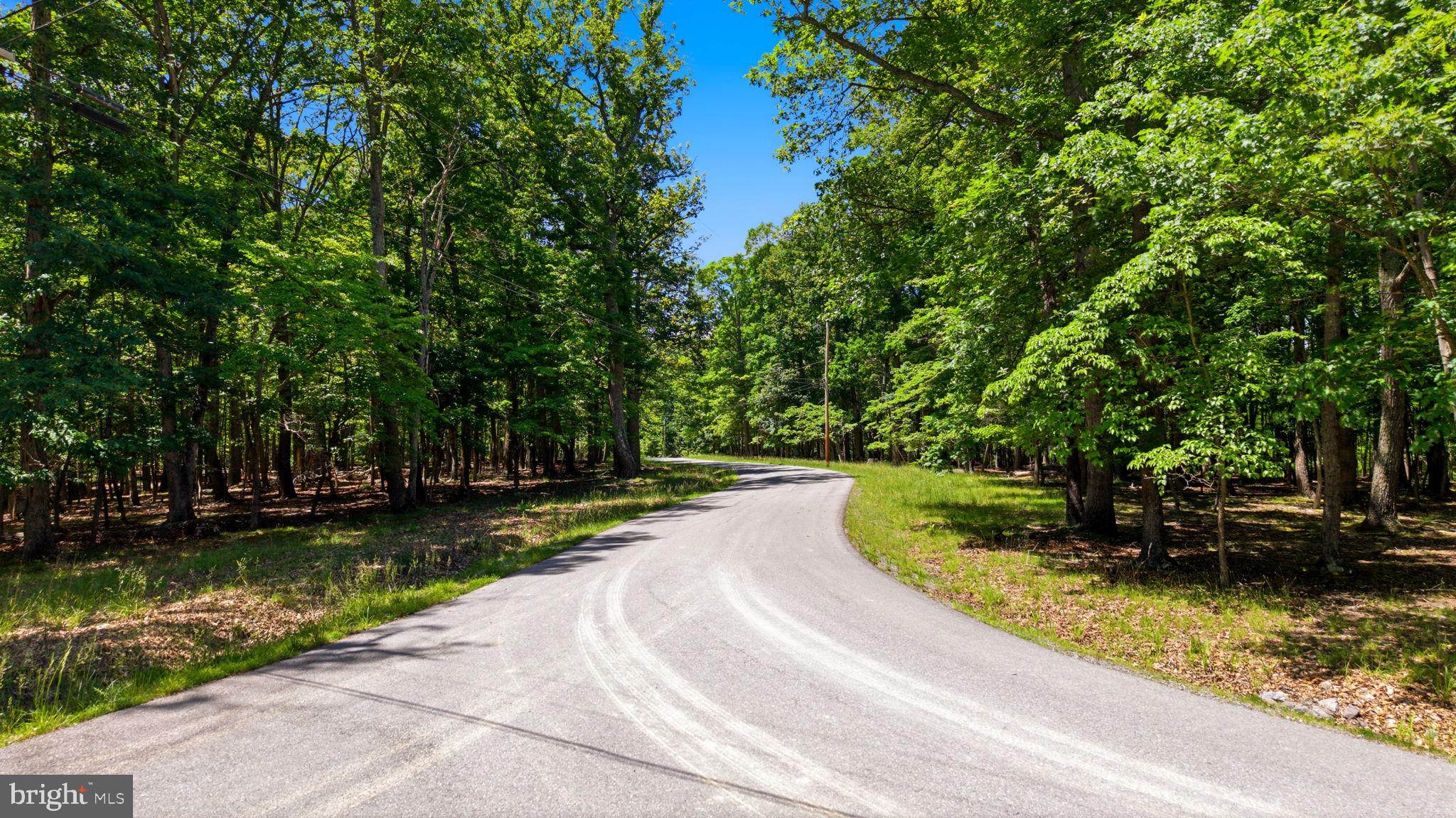 SIDELING MOUNTAIN TRAIL- LOT 64 AND 65