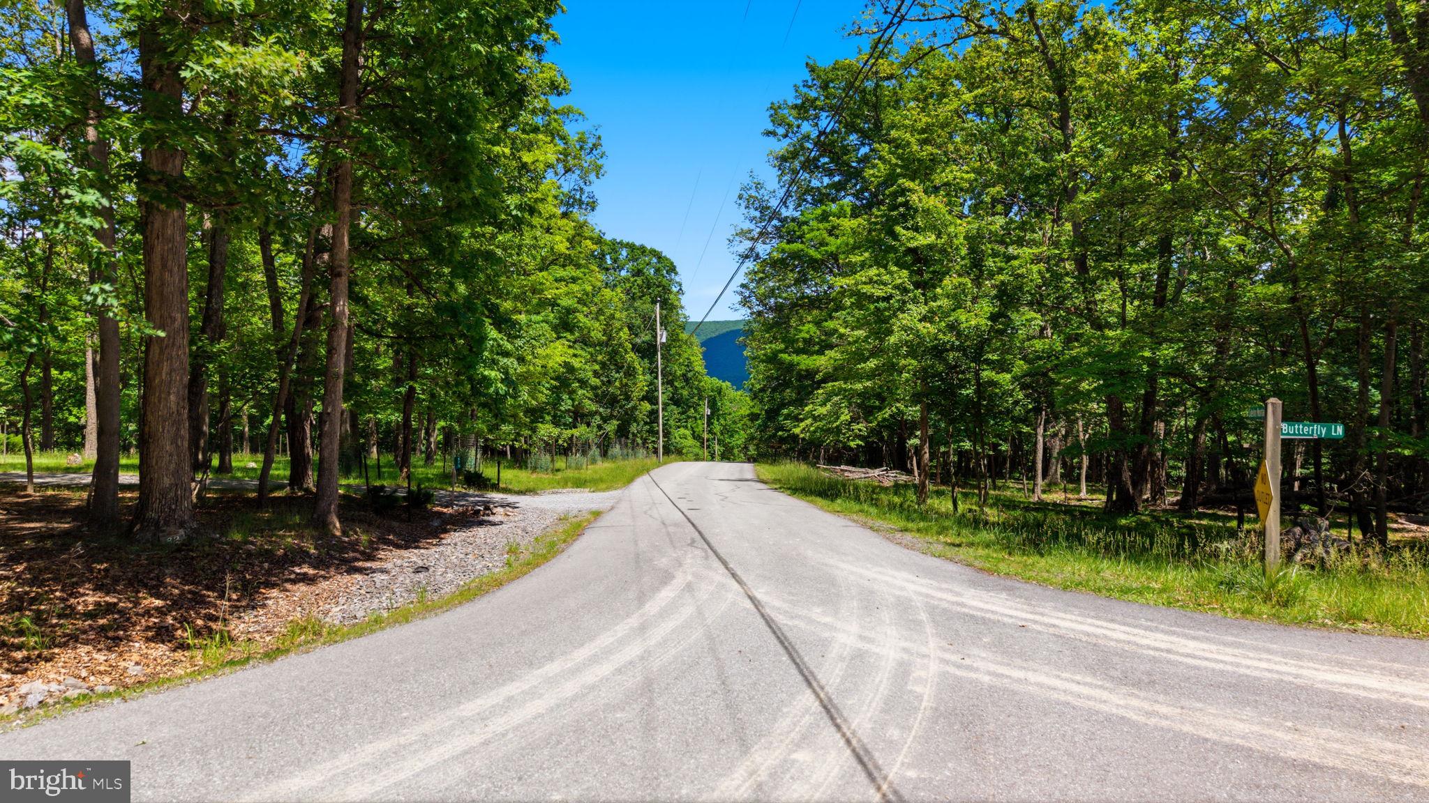 SIDELING MOUNTAIN TRAIL- LOT 64 AND 65