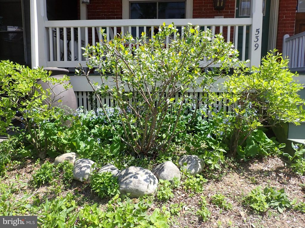 Photo of 539 N MARY ST, LANCASTER, PA 17603 (MLS # PALA2033866)