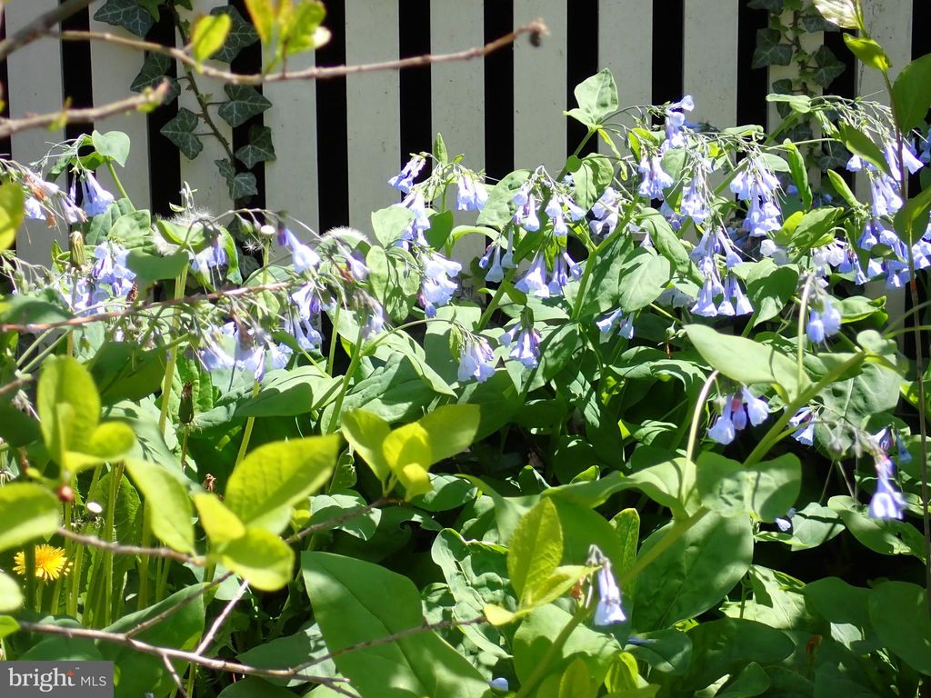 Photo of 539 N MARY ST, LANCASTER, PA 17603 (MLS # PALA2033866)