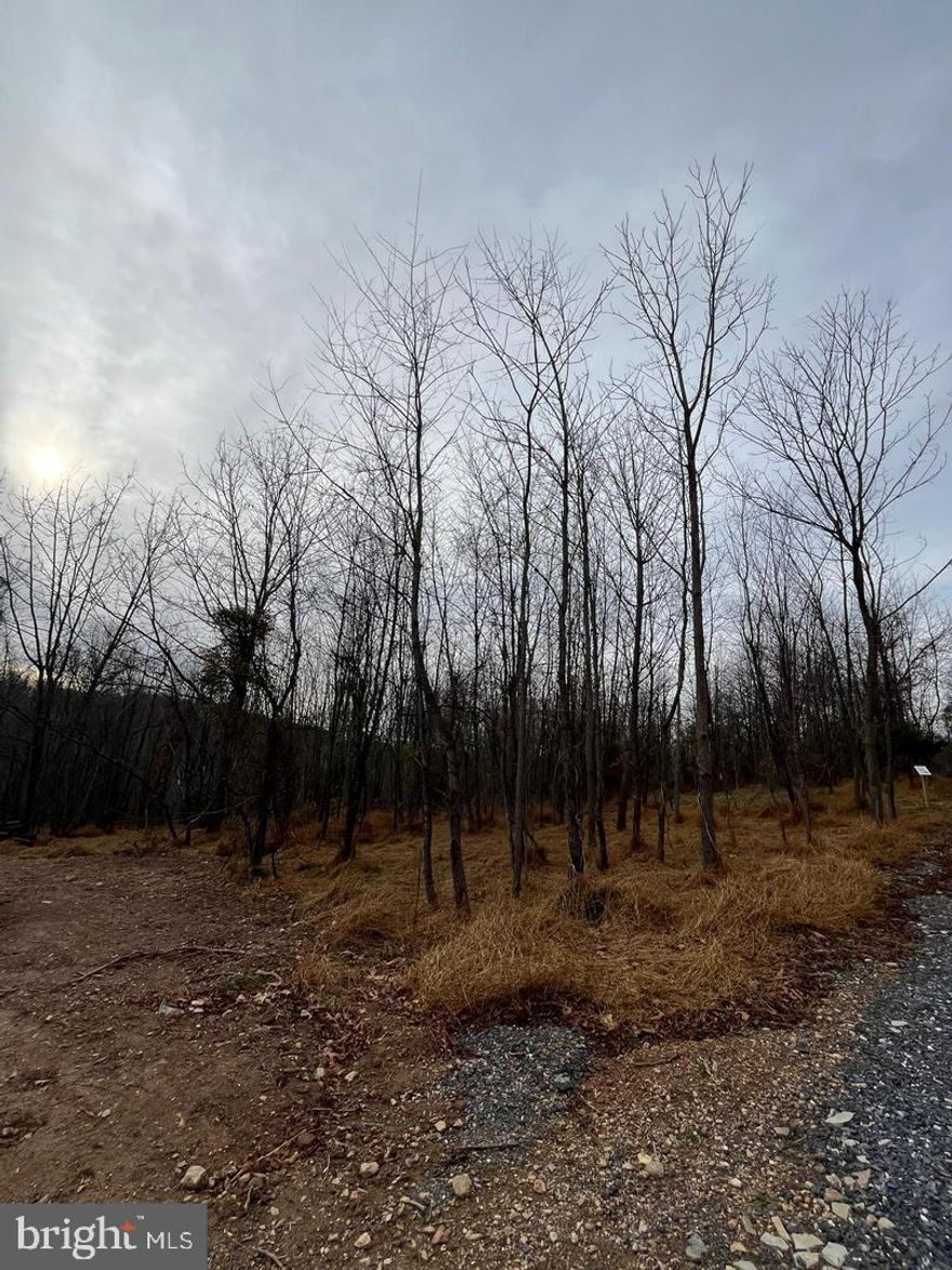 Welcome to Lot 1 of Woodville Meadows!! A beautiful 4 lot wooded community which is close to everything but offers supreme privacy on each lot! Lot 1 is a flat home site with amazing views overlooking the valley, a natural walkout, a deep well pumping 10+gallons