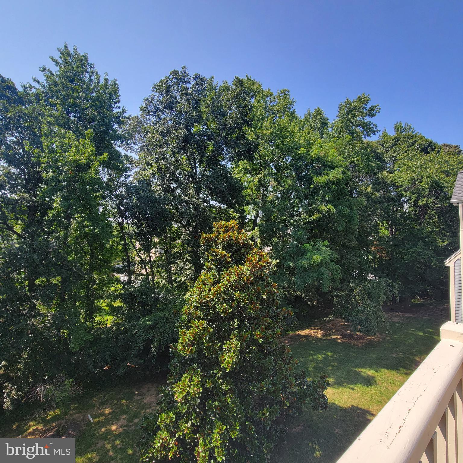 RIVA TRACE - Residential