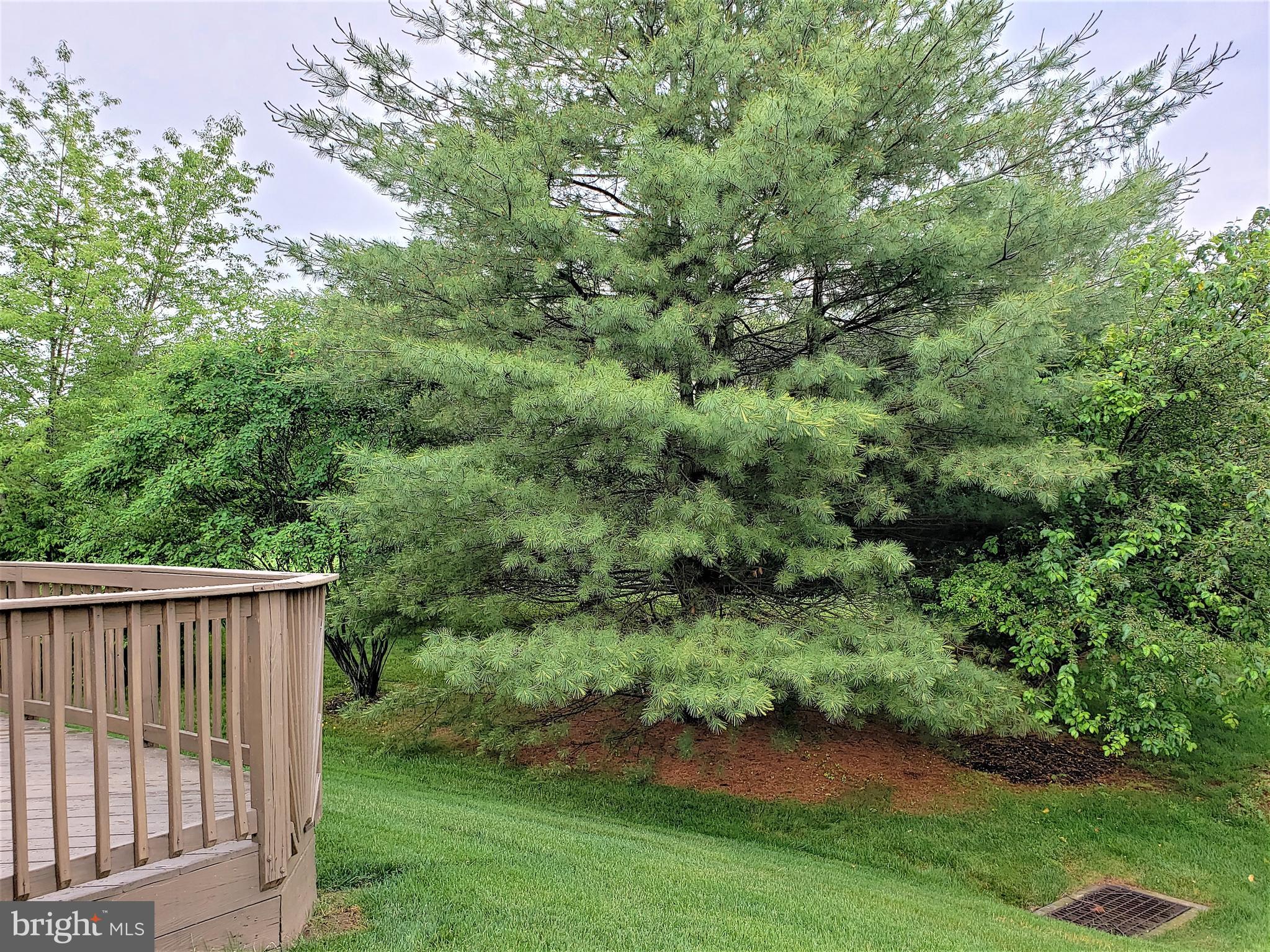 TRADITIONS AT SKIP - Residential