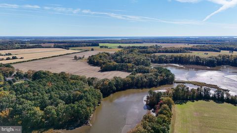 Vacant Land For Sale - 4108 Saulsbury Road<br/> Talbot County, TRAPPE, MD 21673