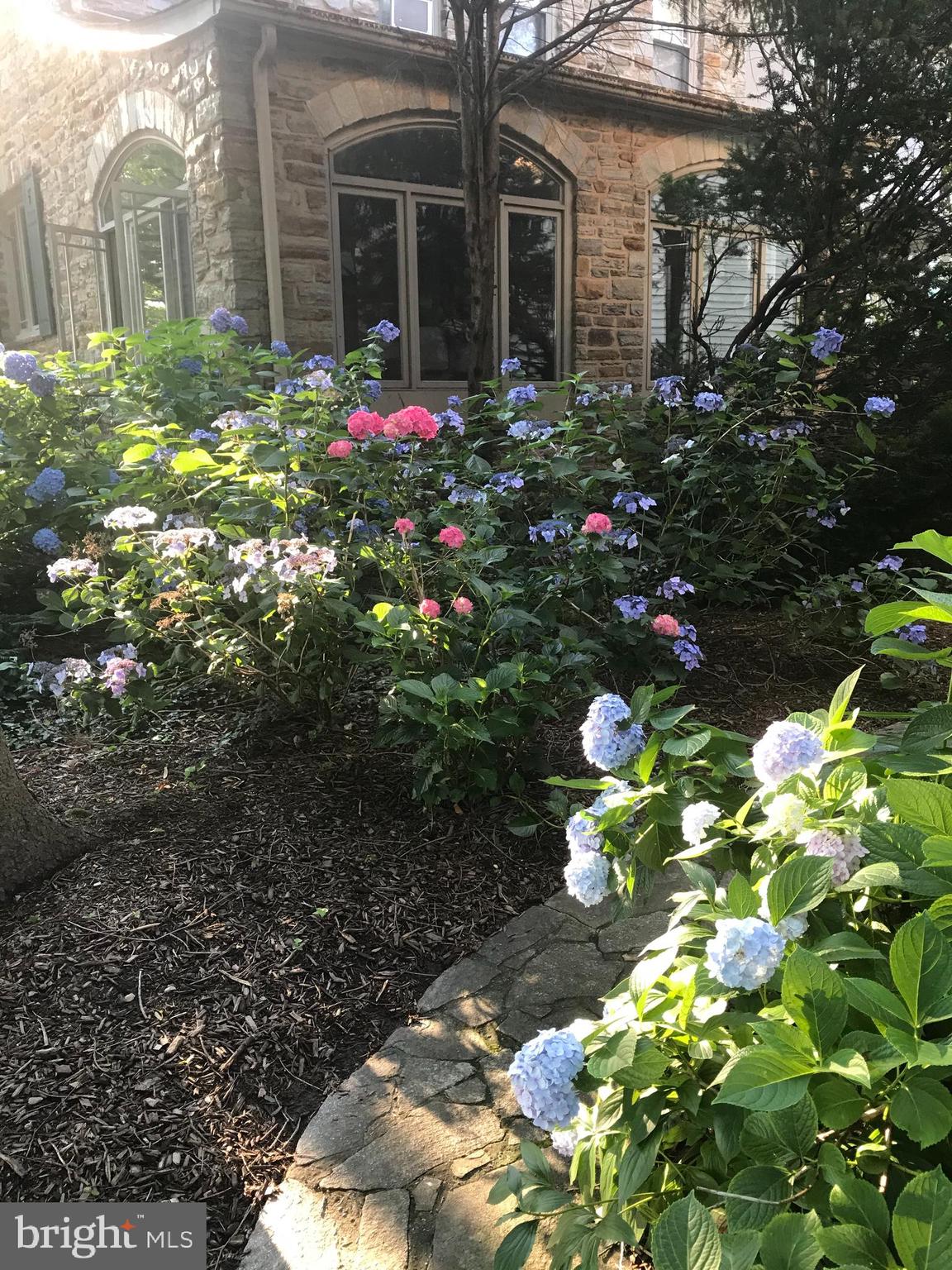 SOUTHLAND HILLS - Residential