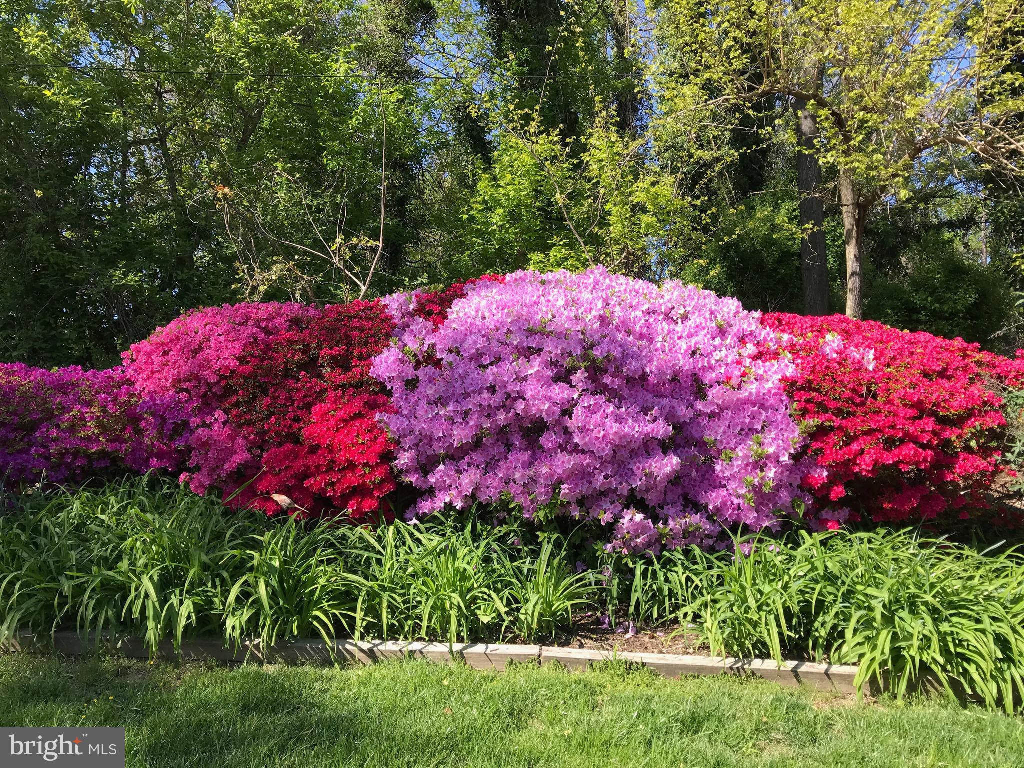 SOUTHLAND HILLS - Residential