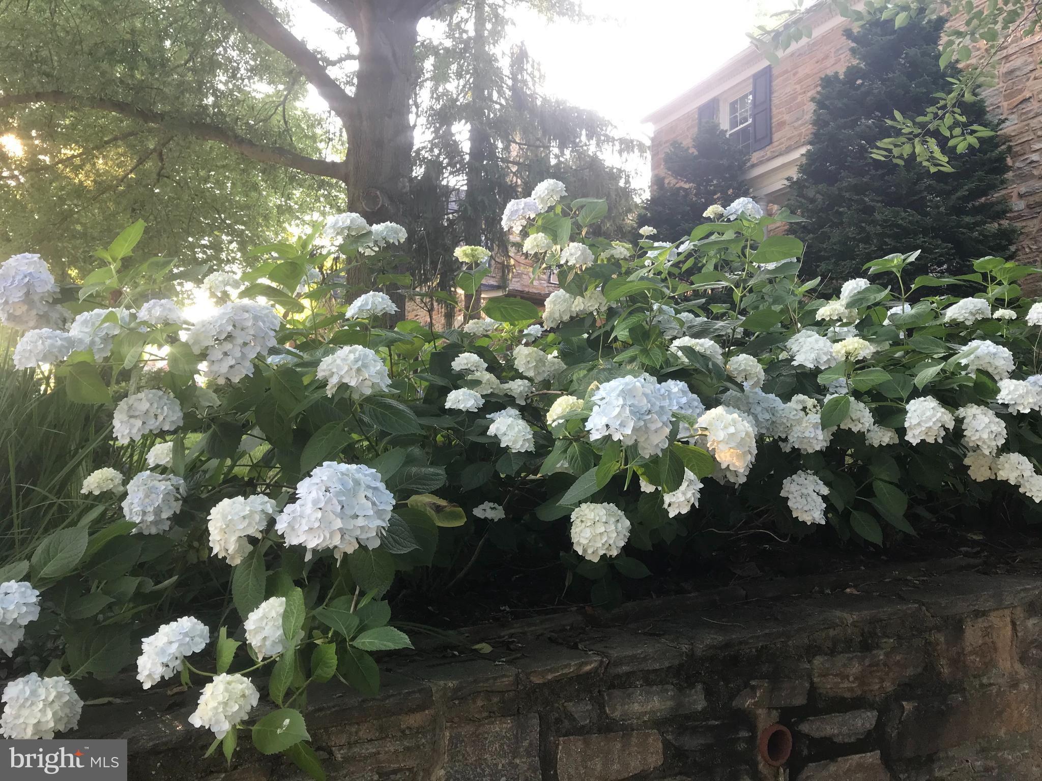 SOUTHLAND HILLS - Residential