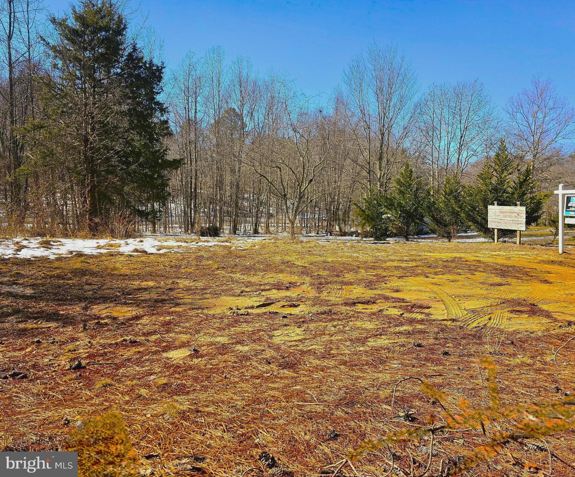 CEDAR GROVE FARM - Land