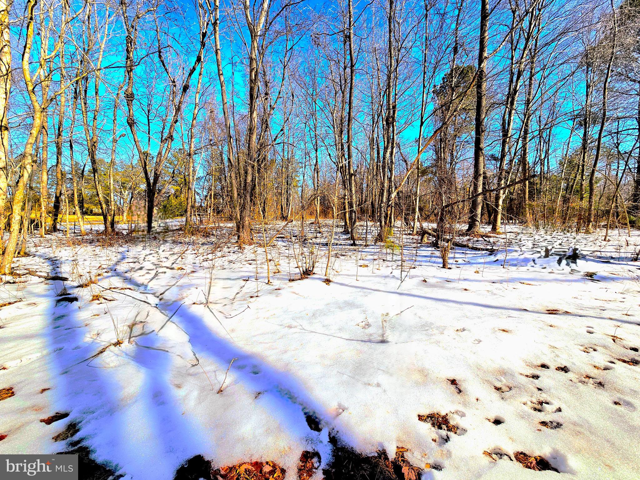 CEDAR GROVE FARM - Land