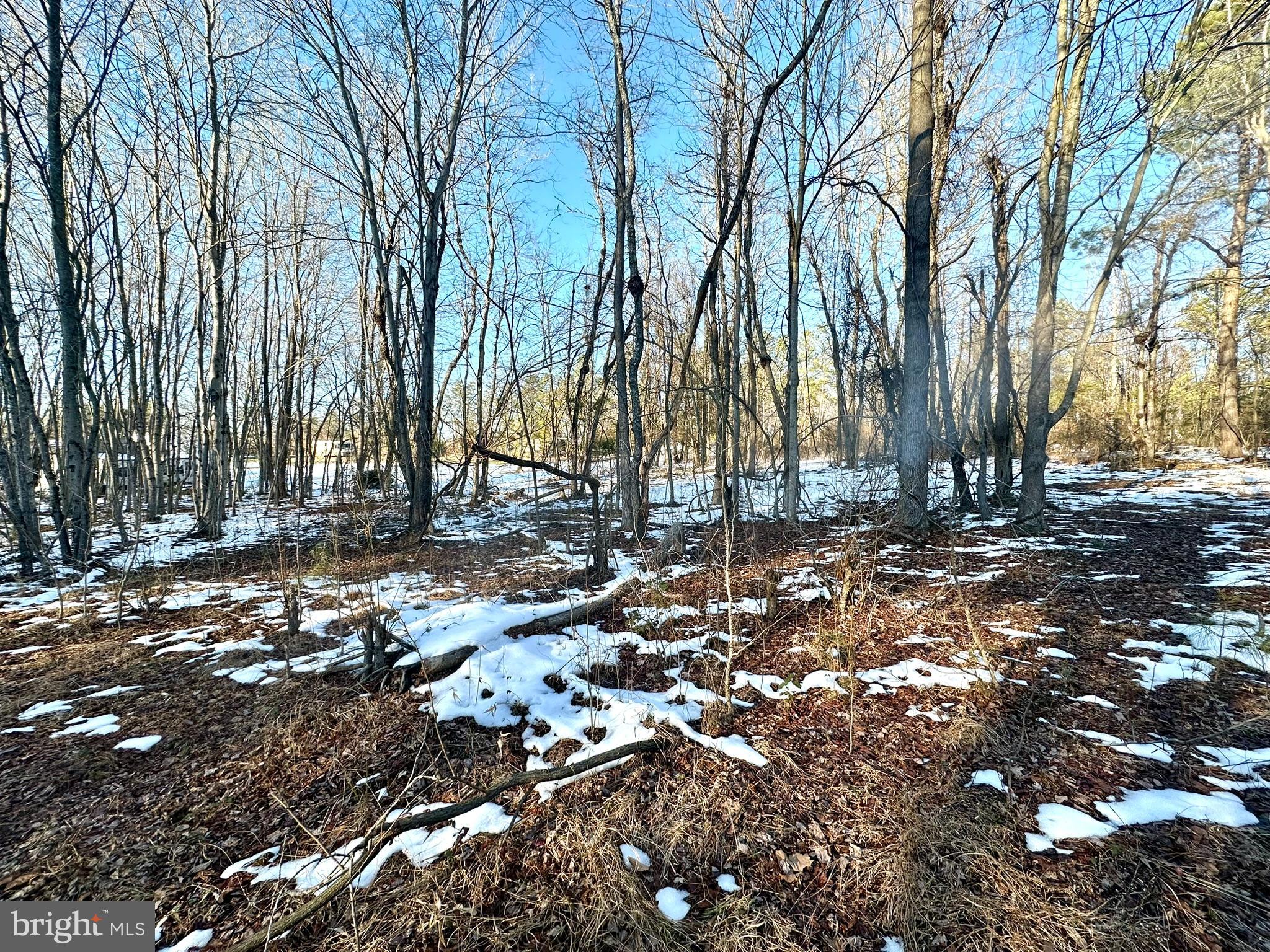 CEDAR GROVE FARM - Land