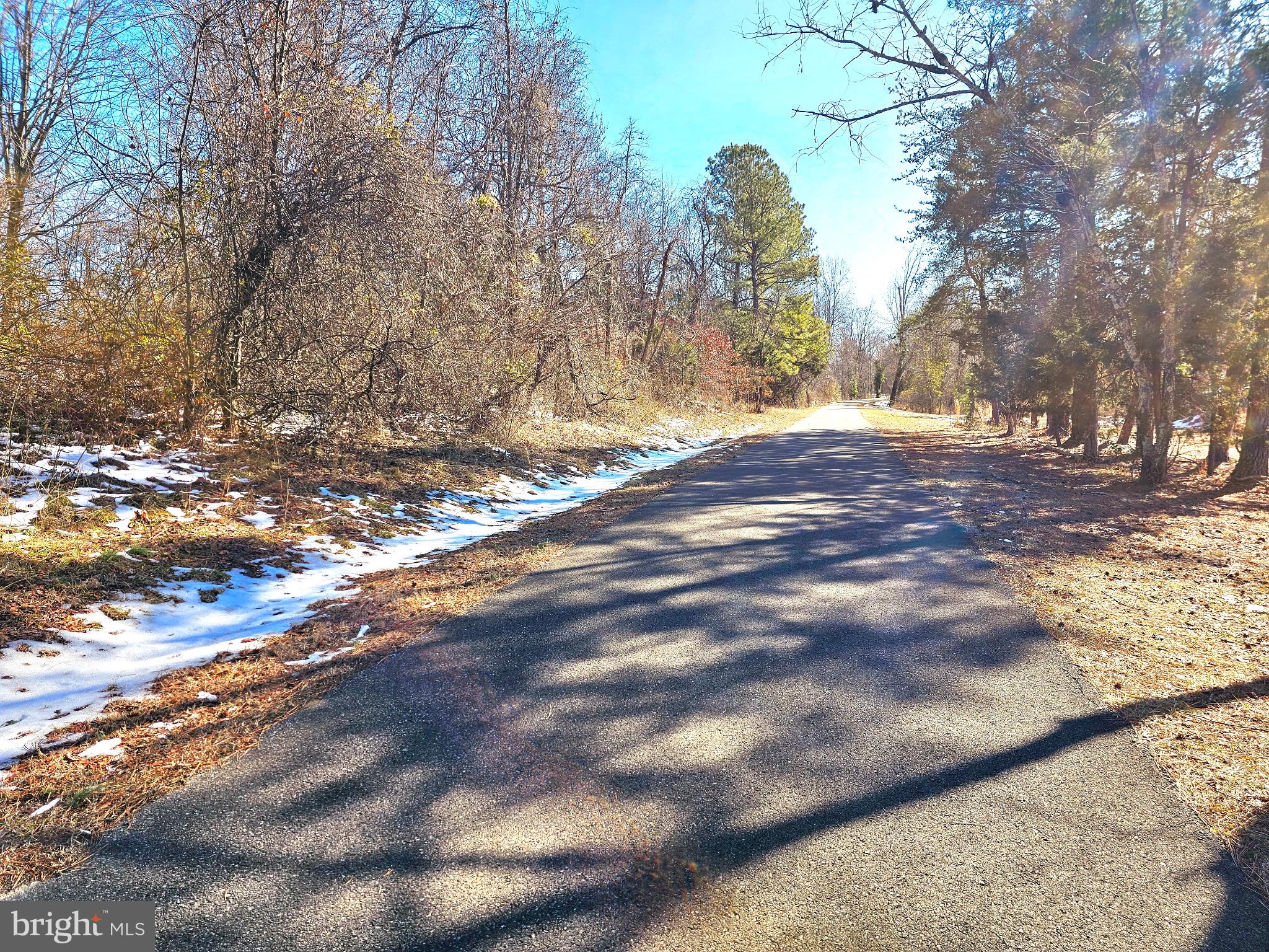 CEDAR GROVE FARM - Land
