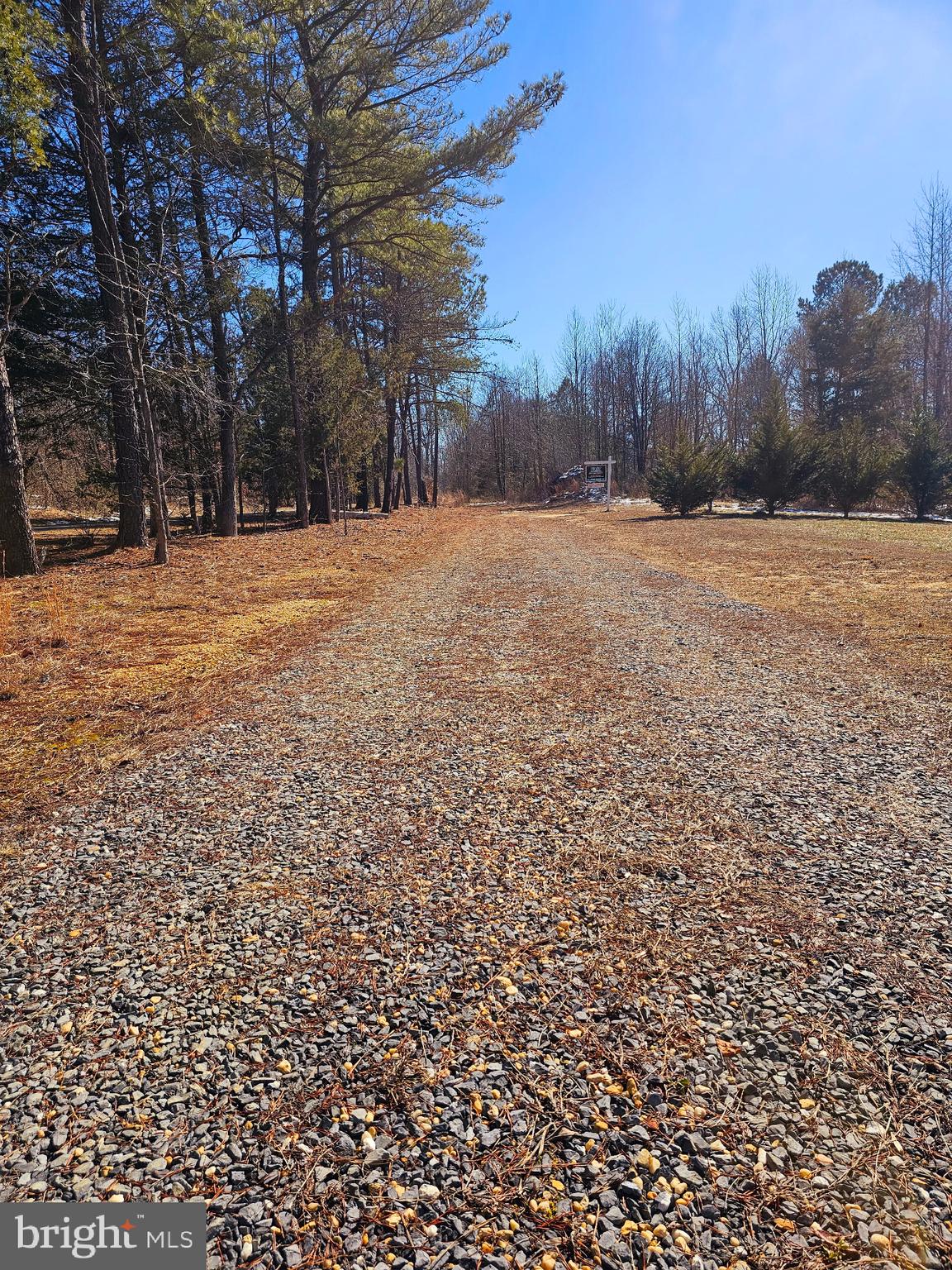 CEDAR GROVE FARM - Land
