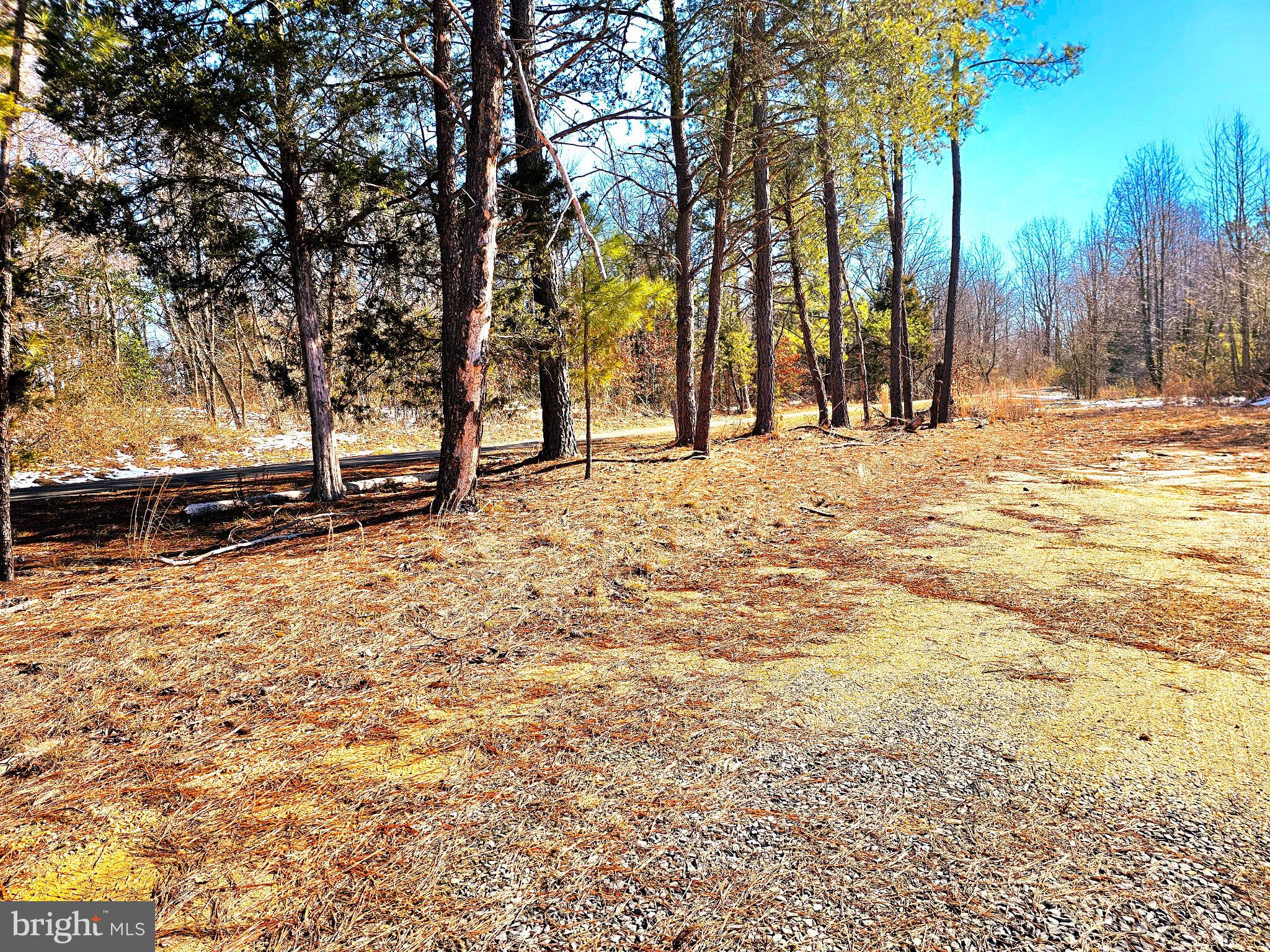 CEDAR GROVE FARM - Land