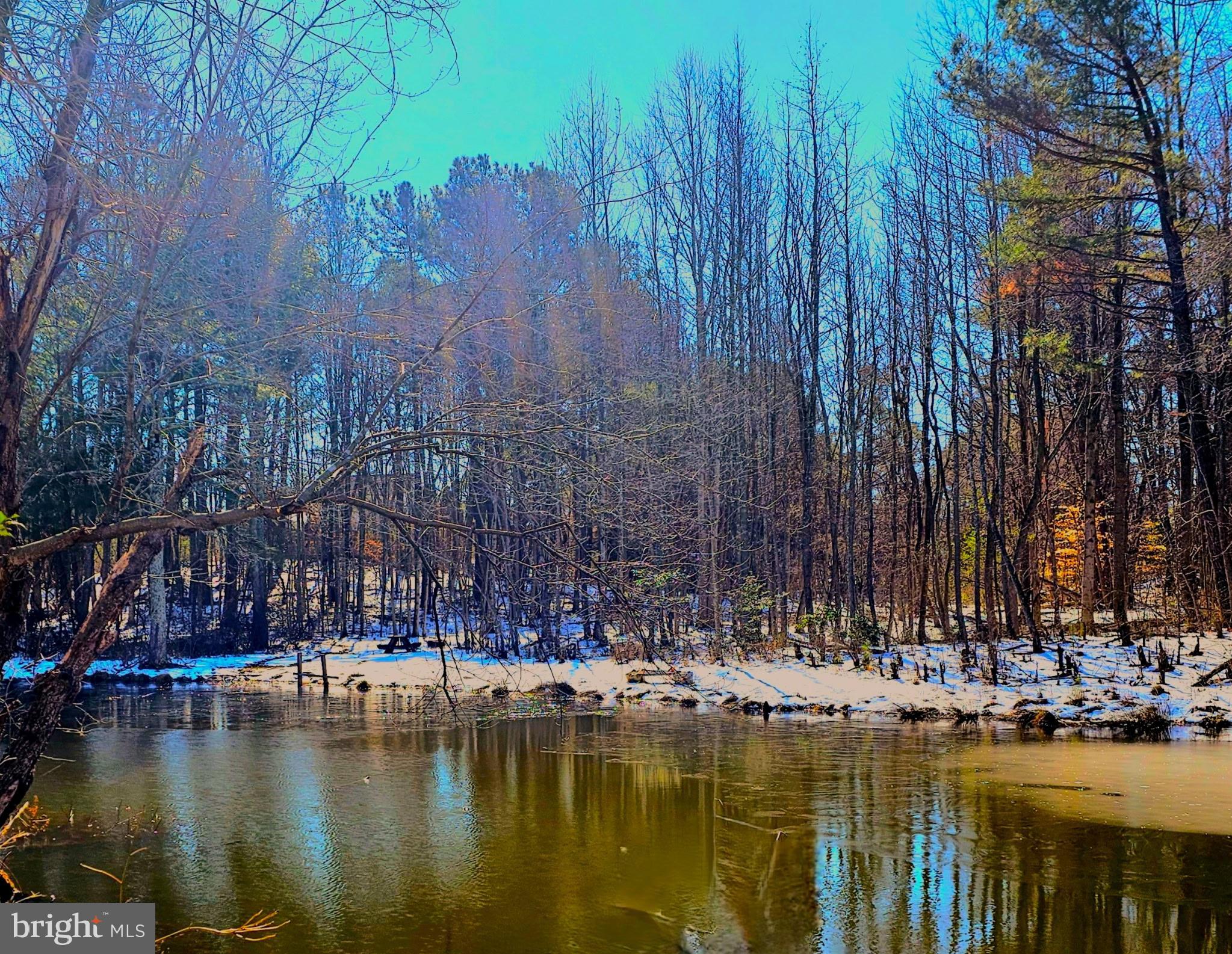 CEDAR GROVE FARM - Land