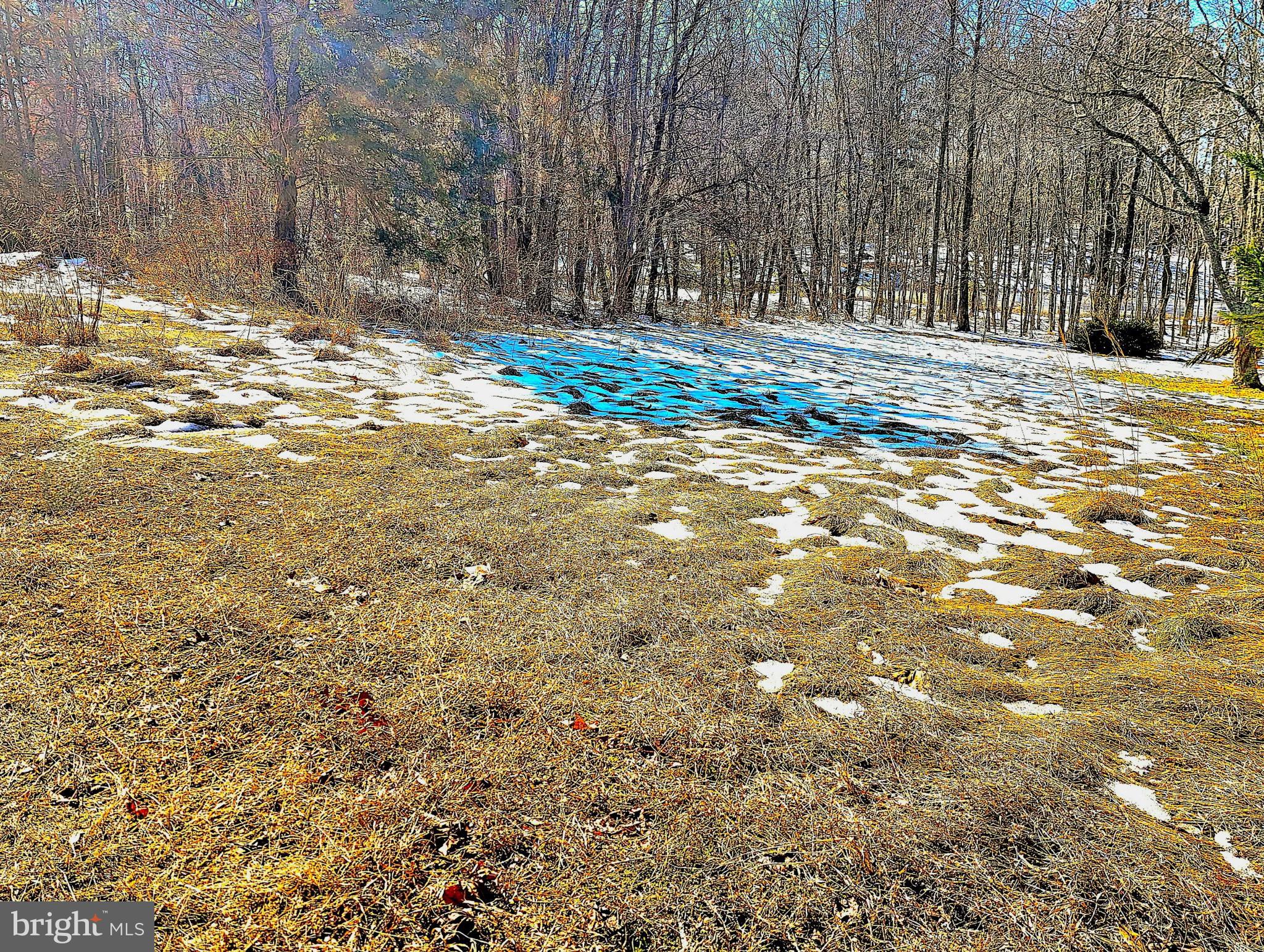 CEDAR GROVE FARM - Land