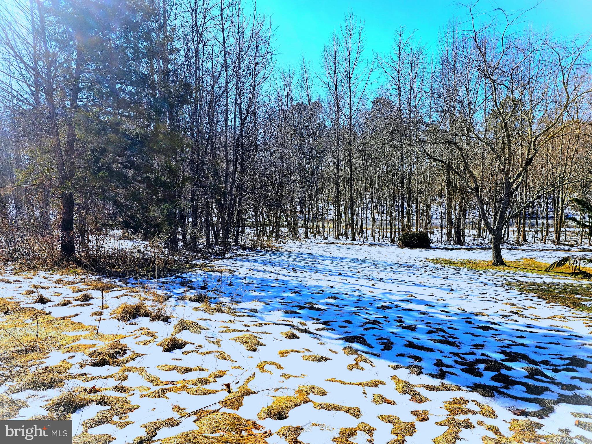 CEDAR GROVE FARM - Land