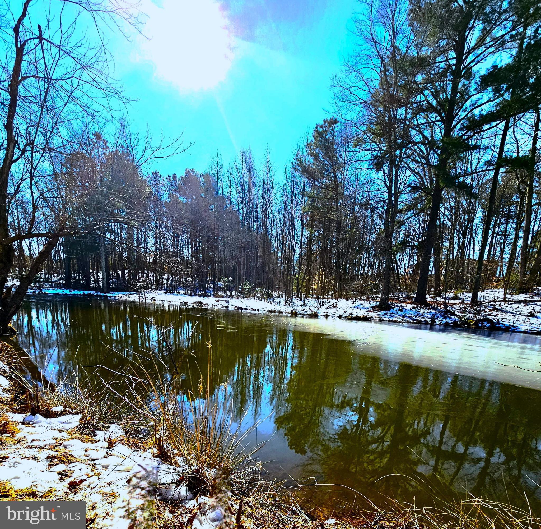 CEDAR GROVE FARM - Land