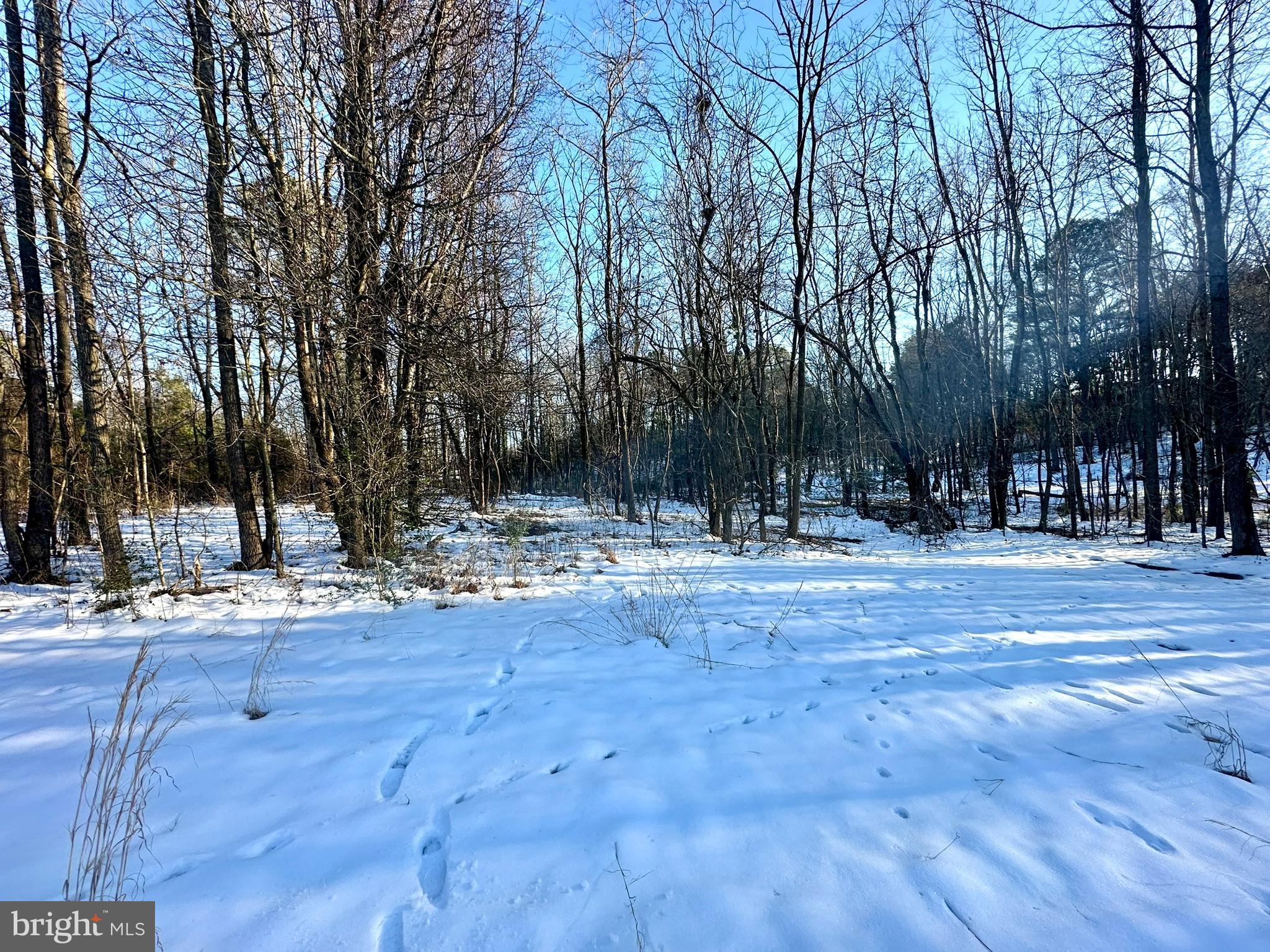 CEDAR GROVE FARM - Land