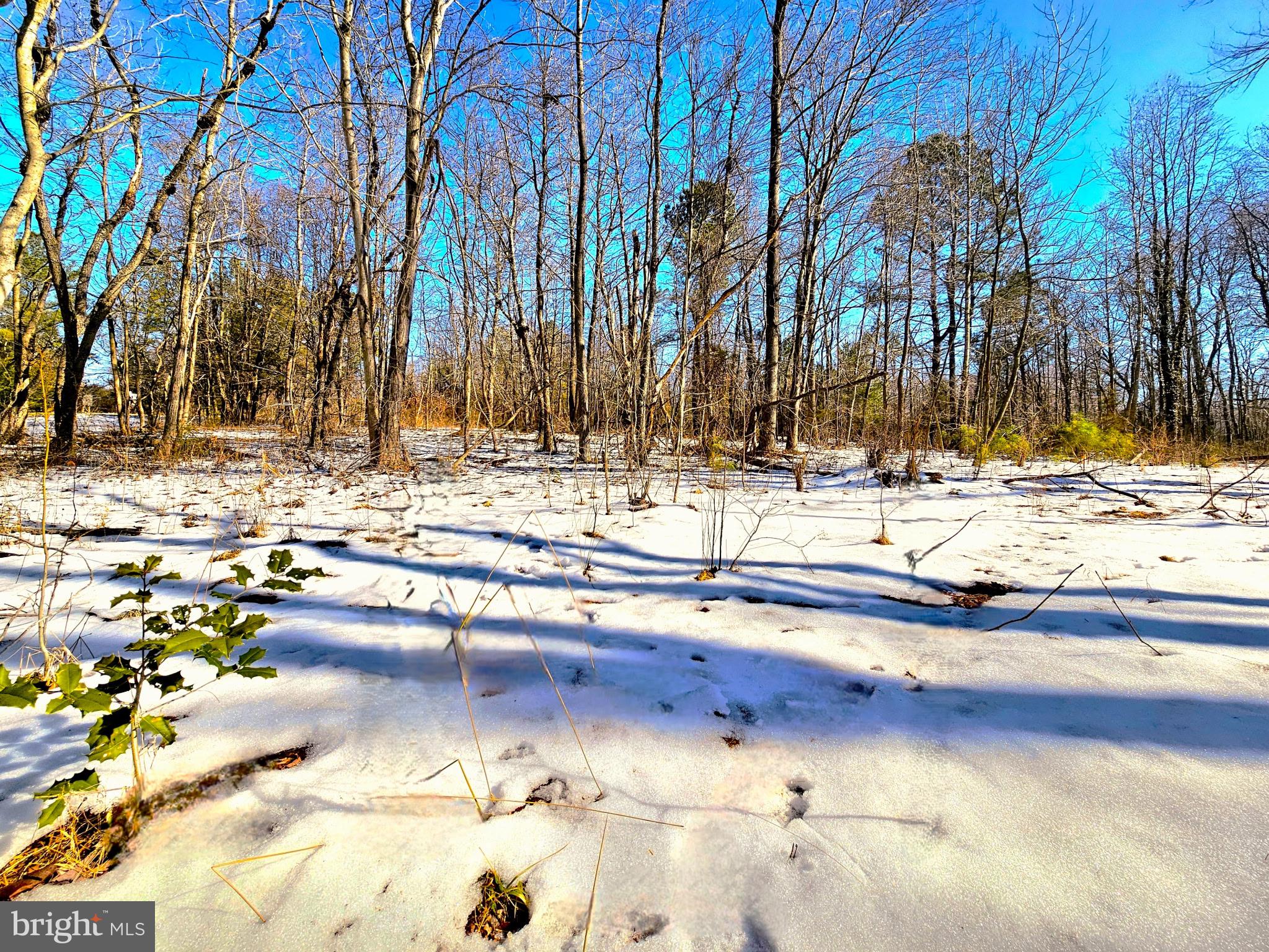 CEDAR GROVE FARM - Land