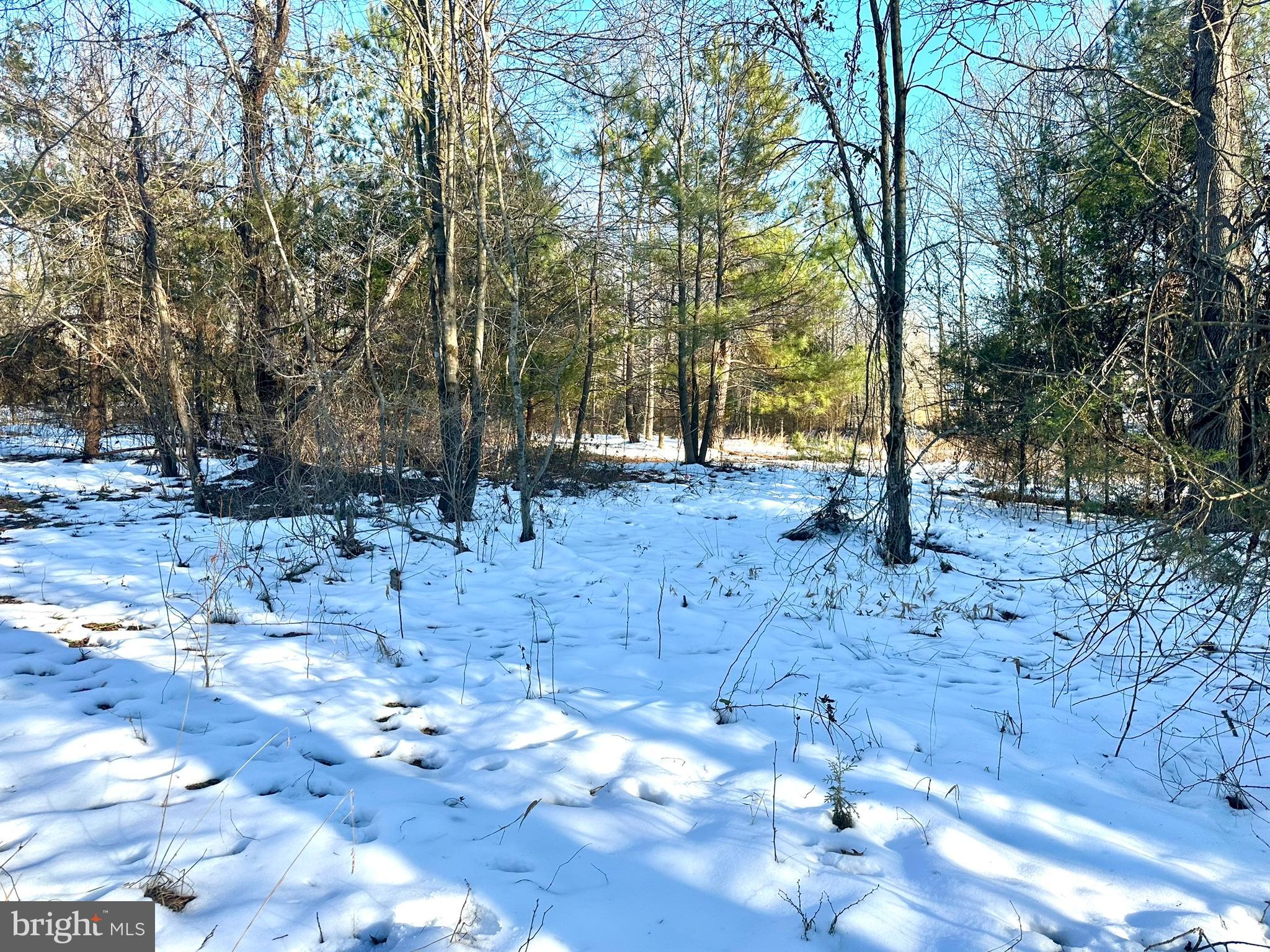 CEDAR GROVE FARM - Land