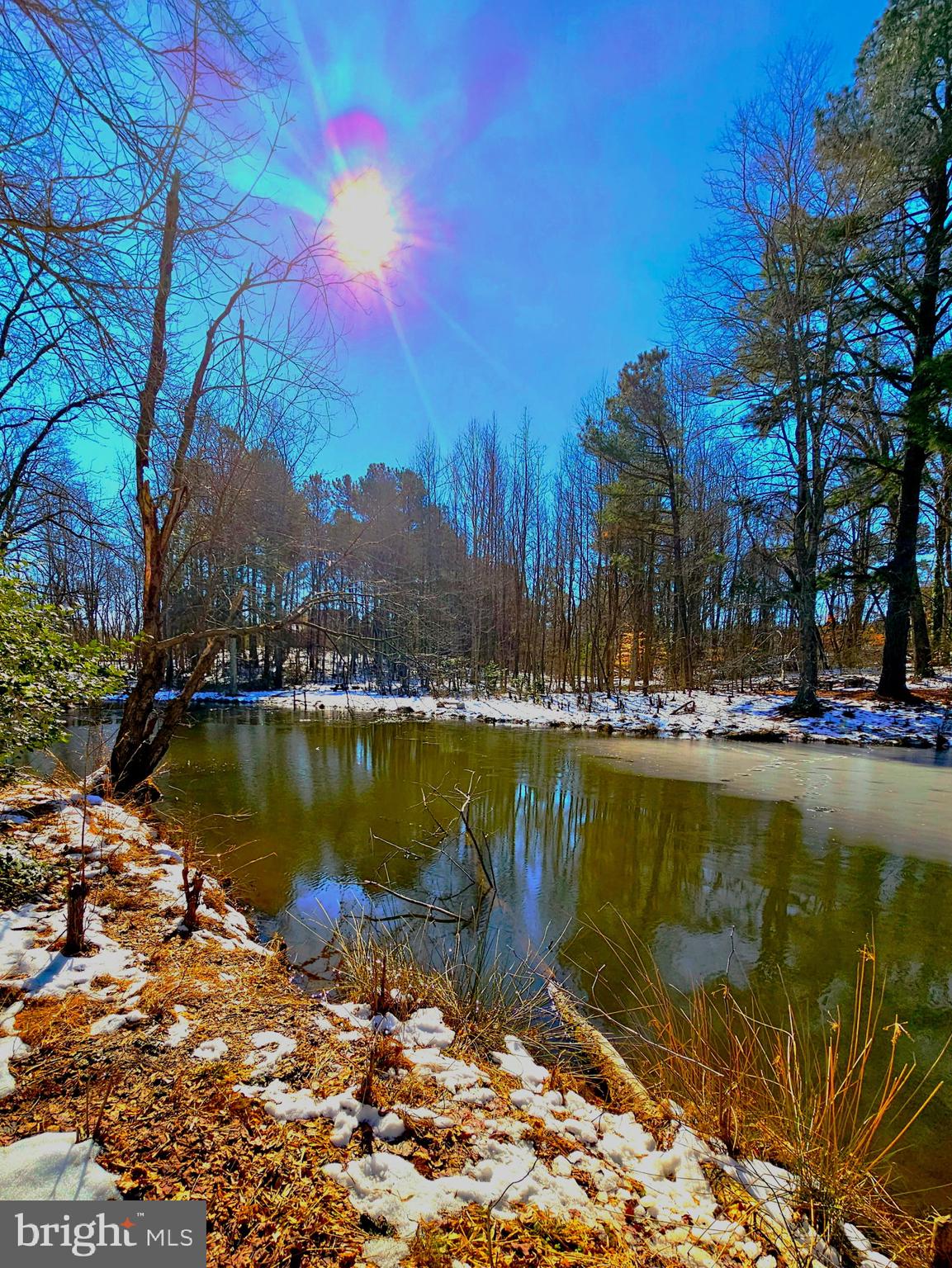 CEDAR GROVE FARM - Land