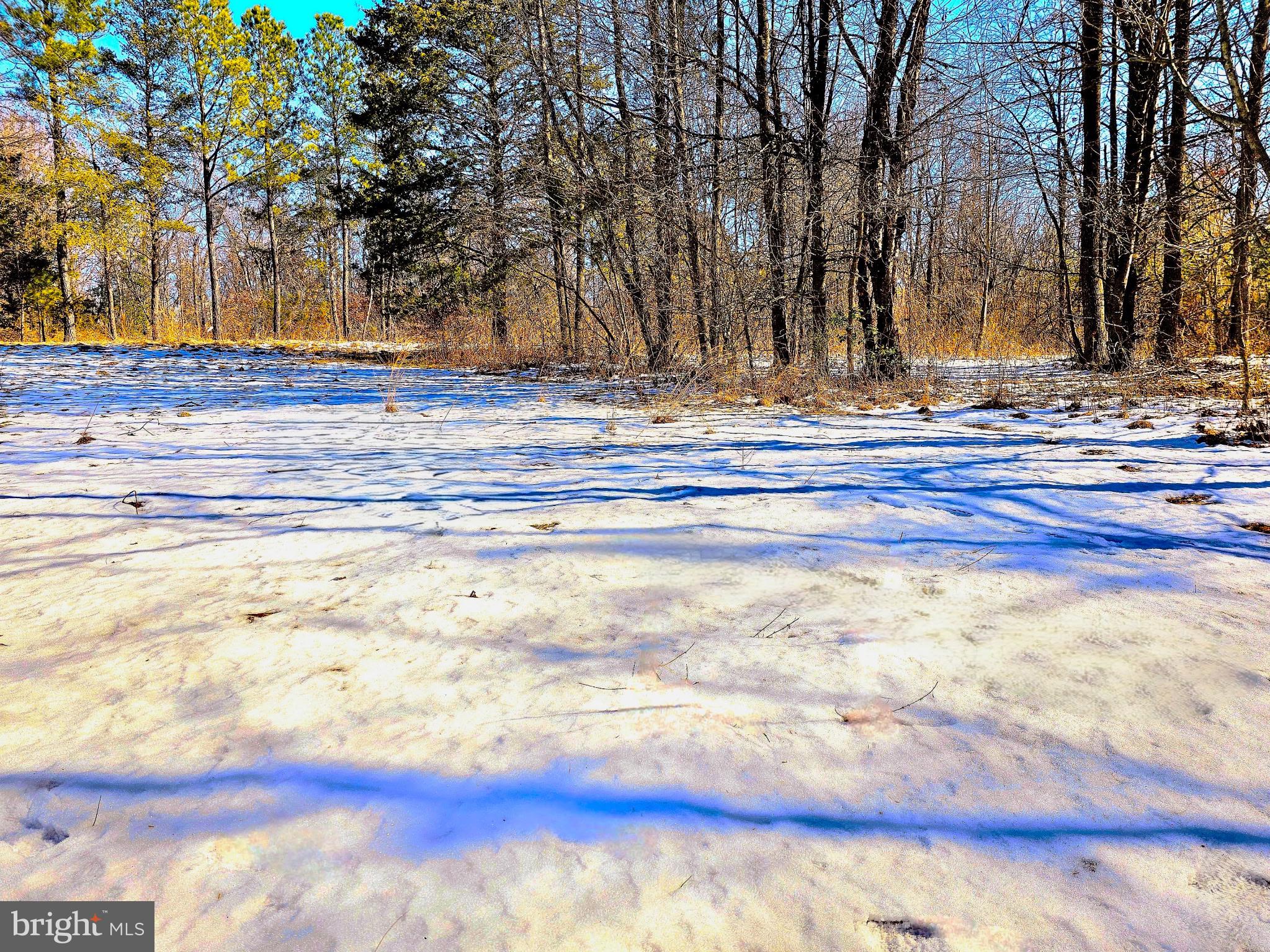 CEDAR GROVE FARM - Land