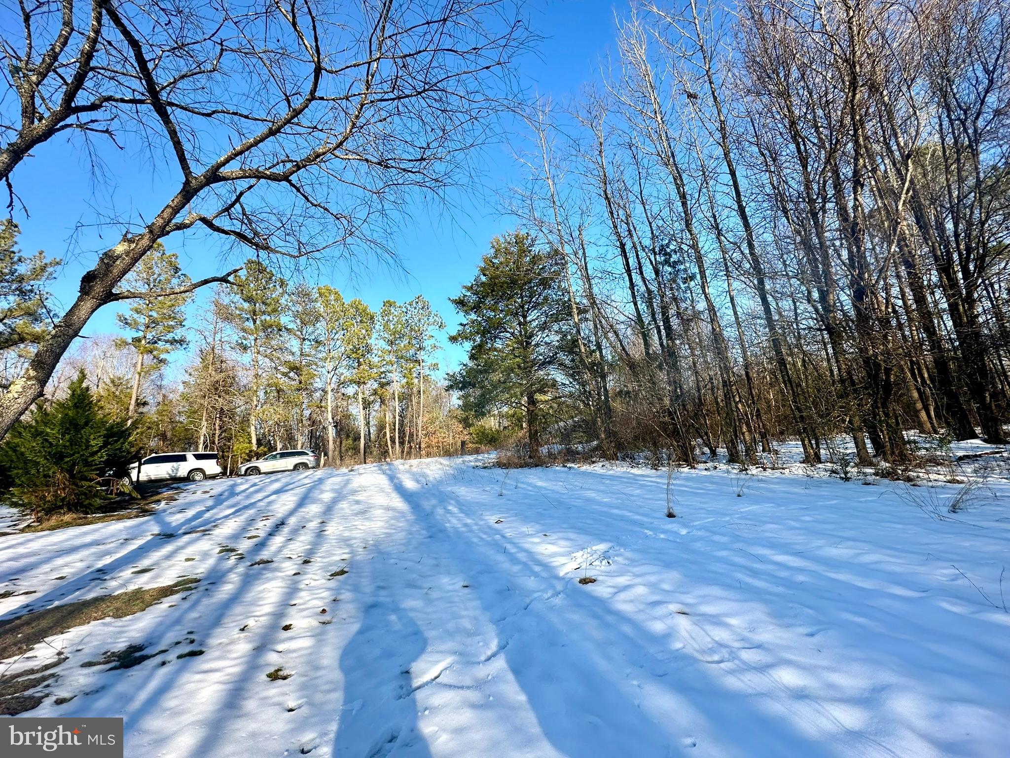 CEDAR GROVE FARM - Land