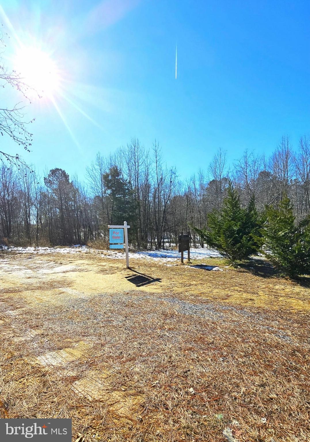 CEDAR GROVE FARM - Land