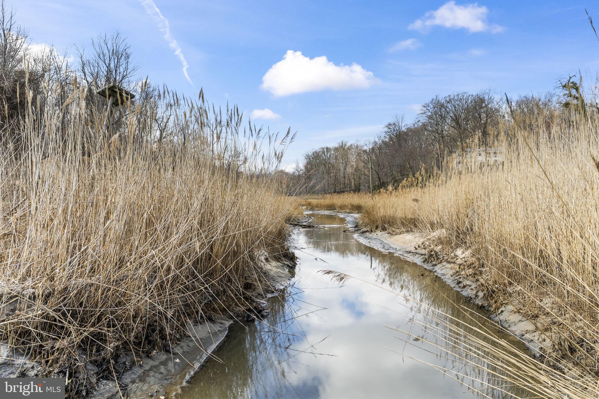 CHESAPEAKE VILLAGE - Residential