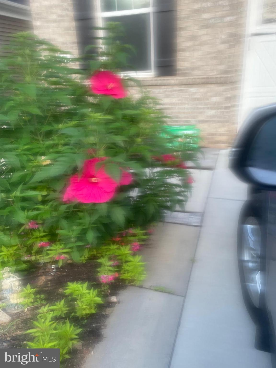 THE VILLAGE AT CABIN BRANCH - Residential