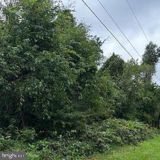 2738 BANK RD, NANTICOKE, MD 21840 - Image e47f8205e5ab335c2d7280f5d61519bb/2859161815