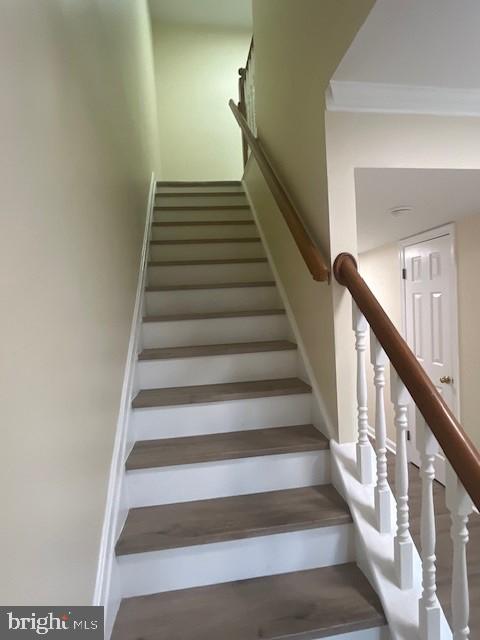 14412 PADDINGTON COURT 142