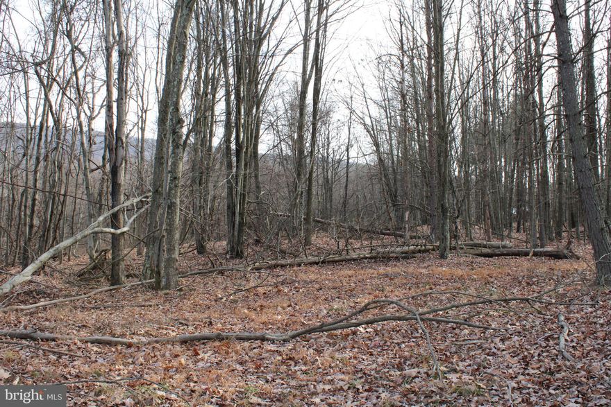 Run to the Mountains, 21.16 acres of pure sovereignty in a gated secure location providing an opportunity for immense westerly views, perfect for relaxing sunsets. Straightforward start to your new mountain haven, offering electricity in close proximity and well-maintained access roads. Comprised of towering oak hardwoods with scattered pines equaling the perfect habitat for wildlife. Offering an abundance of outdoor recreation opportunities located near multiple public access points to the South Branch of the Potomac River and adjacent to the famed 10,000 acre Nathaniel Mountain Wildlife Management Area. Get started enjoying the laid-back West Virginia mountain lifestyle you have been craving. It’s easy, just a mere 2 hours from almost any location in the vicinity of Washington DC.