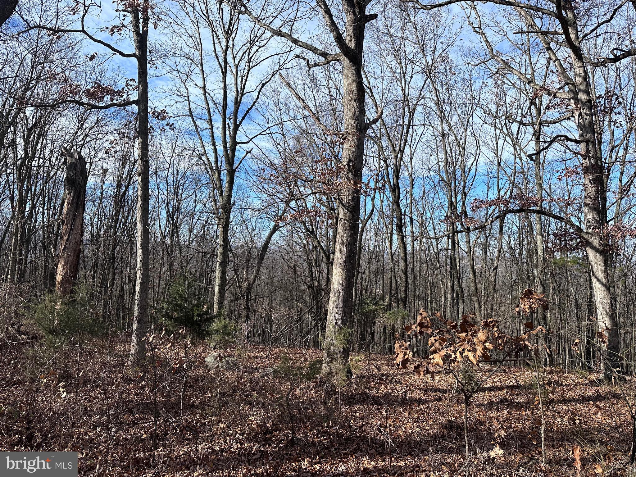 CACAPON MOUNTAIN RETREAT - Land