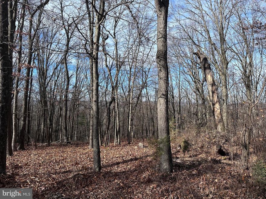 STARTS AT THE CORNER OF CACAPON MOUNTAIN ROAD AND CMR RIDGE ROAD, BUT ONLY BORDERS CMR RIDGE ROAD (CHECK PLAT), GOOD ACCESS, LOT SLOPING FROM ROAD, ALL WOODED, NICE AREA OF WEEKEND AND PERMANENT HOMES.  COMMUNITY ACCESS TO RIVER AND PICNIC AREA.