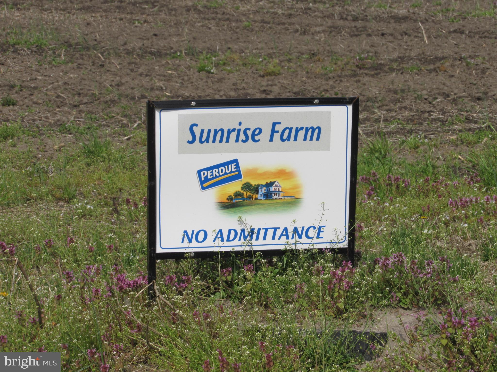 NONE AVAILABLE - Farm