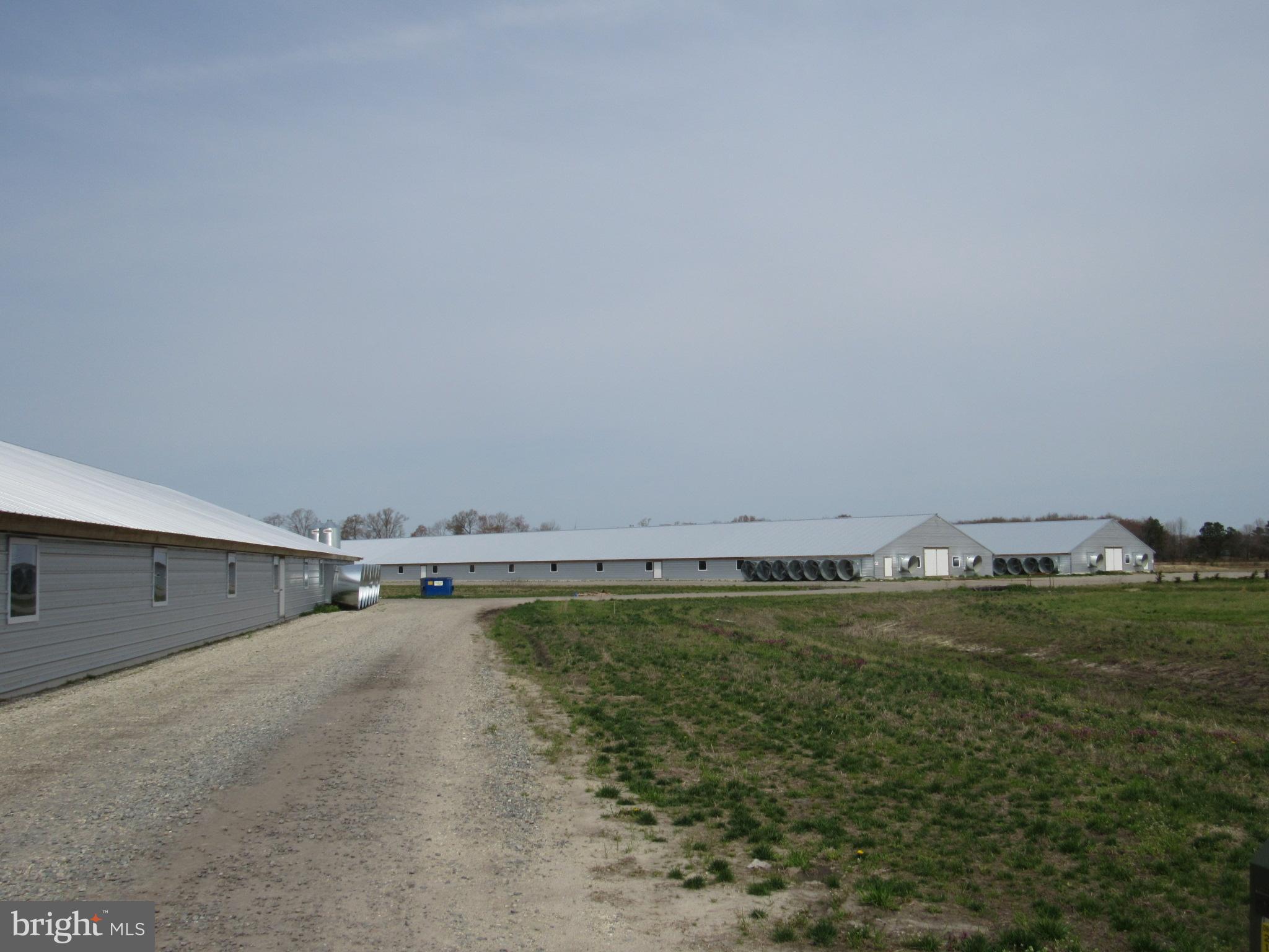 NONE AVAILABLE - Farm