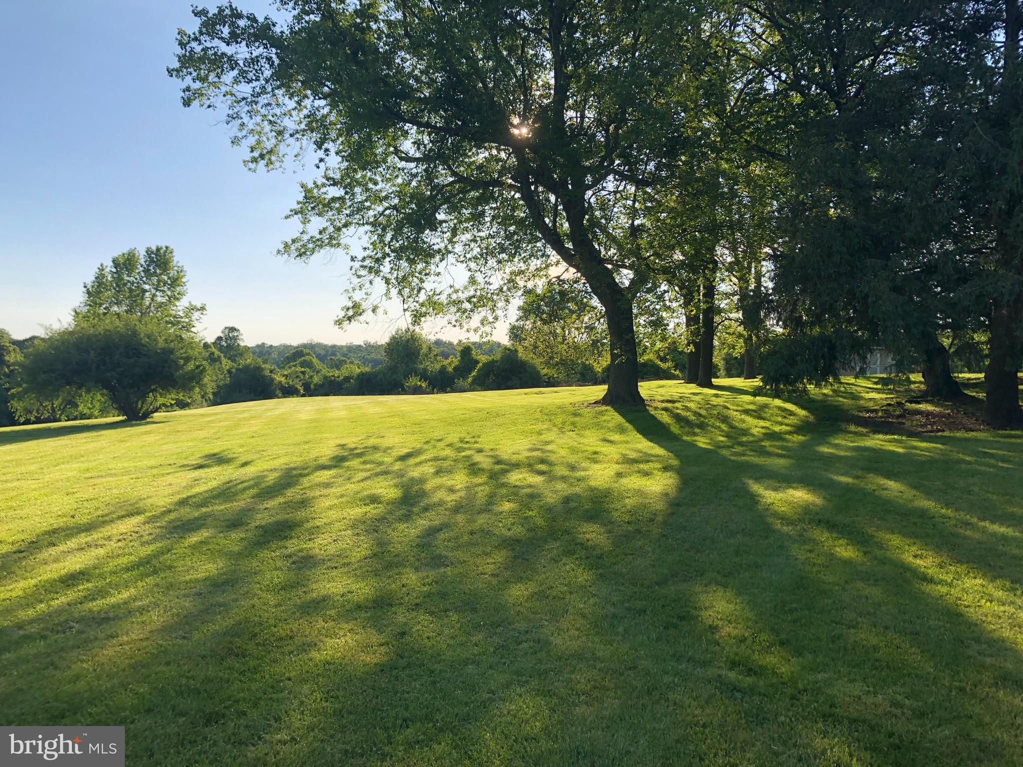 1209 BEAR HOLLOW COURT